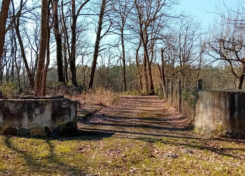 184357_3.jpg