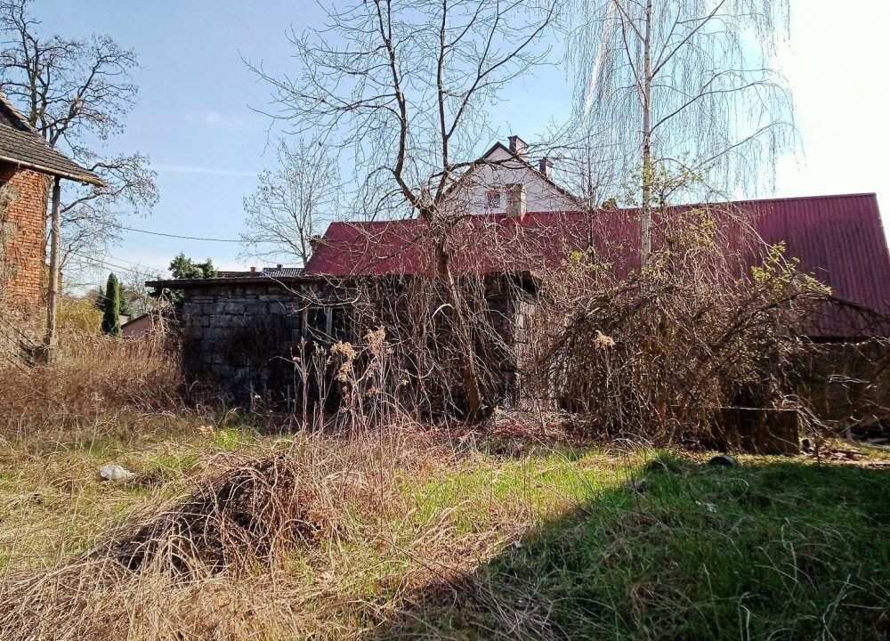 189456_3