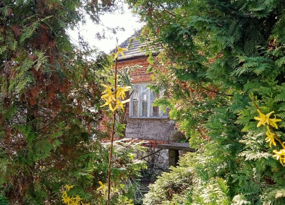 189458_3.jpg